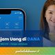 Cara Pinjam Uang di DANA Cicil 2026, Cair Cepat Cuman Pakai NIK KTP Tanpa Survei dan Jaminan