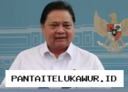 Airlangga Pastikan Rencana WFH untuk Menjaga Stabilitas Defisit APBN