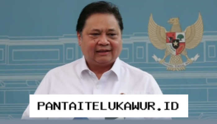 Airlangga Pastikan Rencana WFH untuk Menjaga Stabilitas Defisit APBN