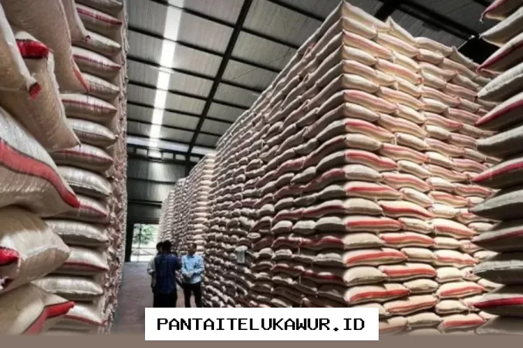 Bansos Beras 20 Kg dan Minyak Goreng 4 Liter Mulai Disalurkan pada 13 Maret 2026, Ini Daftar Wilayah Penerimaannya