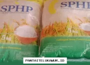 Bansos Beras Masih Dicairkan Sampai Maret 2026, Namun Tak Semua Warga Berhak Menerimanya, Ini Syaratnya