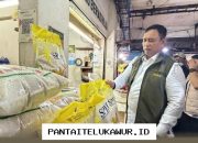 Bulog Jamin Ketersediaan Pangan Nasional Meski Terjadi Ketegangan di Timur Tengah dan Fenomena El Nino yang Ekstrem