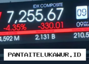 Indeks Harga Saham Gabungan Terpantau Turun Meskipun Harga Minyak Global Mengalami Peningkatan Signifikan
