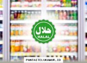 Lebaran Dorong Peningkatan Daya Saing serta Pengembangan Produk Halal Nasional