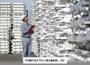 MIND ID Menilai Analisis Data Kritis untuk Mendukung Pengambilan Keputusan Kebijakan yang Tepat Sasaran