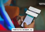 Panduan Lengkap Pemutakhiran Data Bansos DTSEN Berjenjang untuk KPM PKH-BPNT, Begini Cara Cek Status Desil Anda