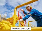 PGN Catat Laba Bersih USD971 Juta pada Tahun 2025 Ini