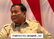Prabowo Inginkan Kendaraan Listrik Bertenaga Surya untuk Transportasi Masa Depan
