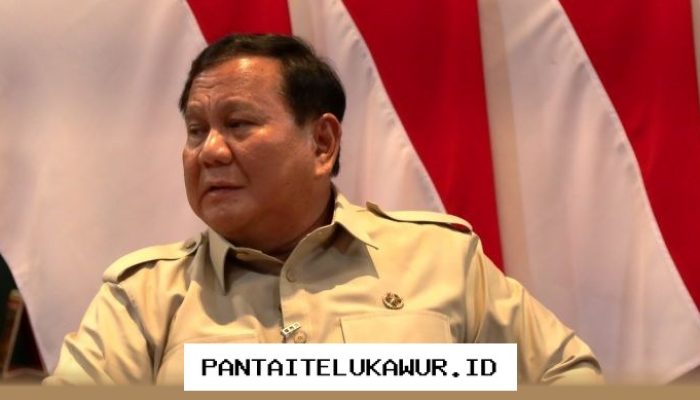 Prabowo Inginkan Kendaraan Listrik Bertenaga Surya untuk Transportasi Masa Depan
