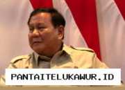 Prabowo Tetapkan Target Pembangunan Energi Surya Nasional Capai Seratus Gigawatt Selama Dua Tahun Ke Depan