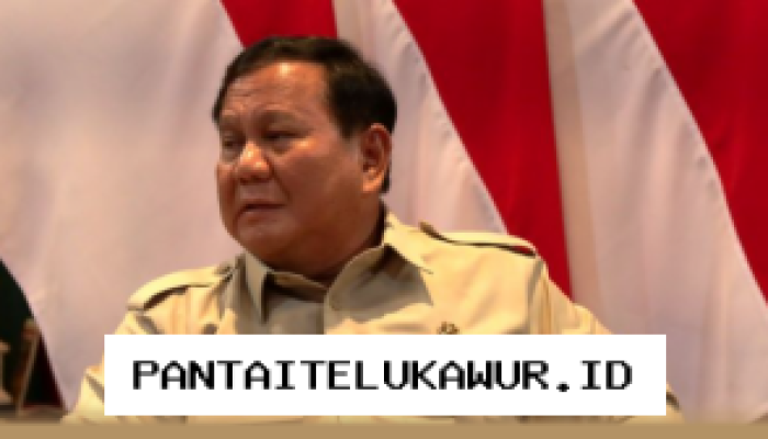 Prabowo Tetapkan Target Pembangunan Energi Surya Nasional Capai Seratus Gigawatt Selama Dua Tahun Ke Depan