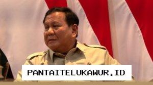 Prabowo Tetapkan Target Pembangunan Energi Surya Nasional Capai Seratus Gigawatt Selama Dua Tahun Ke Depan