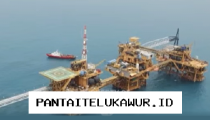 Presiden Prabowo Ajak Maksimalkan Sumber Daya Alam demi Ketahanan Energi Nasional