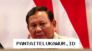 Presiden Terapkan Efisiensi Anggaran dengan Mengurangi Belanja Tidak Produktif dan Mendorong Kerja Jarak Jauh
