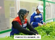 Program Pemberdayaan Perempuan Dorong Pertumbuhan Ekonomi dan Kemandirian Sosial di Masyarakat