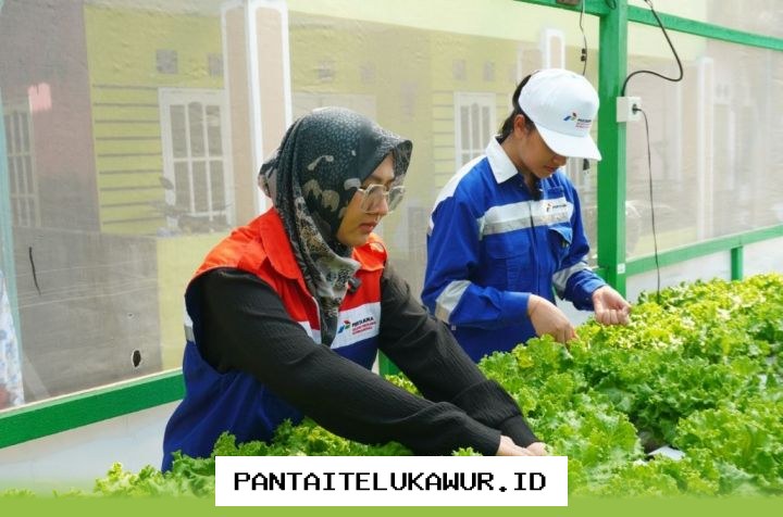 Program Pemberdayaan Perempuan Dorong Pertumbuhan Ekonomi dan Kemandirian Sosial di Masyarakat