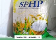 Tiga Provinsi Terima Pencairan Bansos Susulan via Kantor Pos, KPM Dapat Bantuan Ganda Mulai Hari Ini