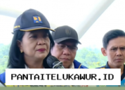 Wamen PU Pastikan Kesiapan Infrastruktur Tol Cikampek Utama Sebelum Diresmikan