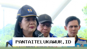 Wamen PU Pastikan Kesiapan Infrastruktur Tol Cikampek Utama Sebelum Diresmikan