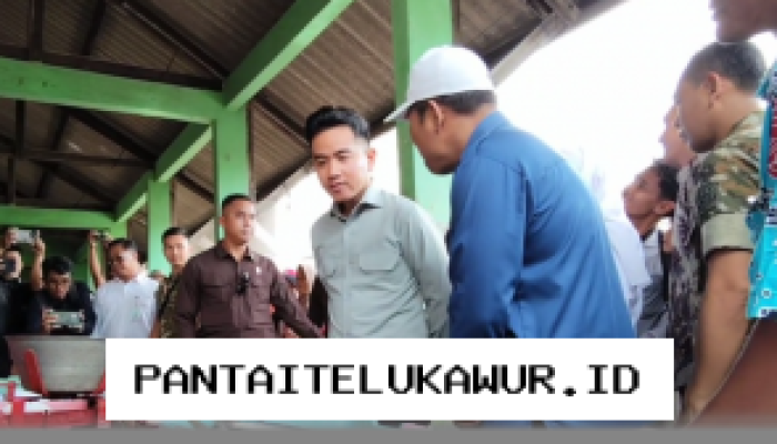 Wapres Gibran Tinjau Proyek Industri dan Stabilitas Harga Pangan di Tuban
