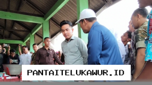 Wapres Gibran Tinjau Proyek Industri dan Stabilitas Harga Pangan di Tuban