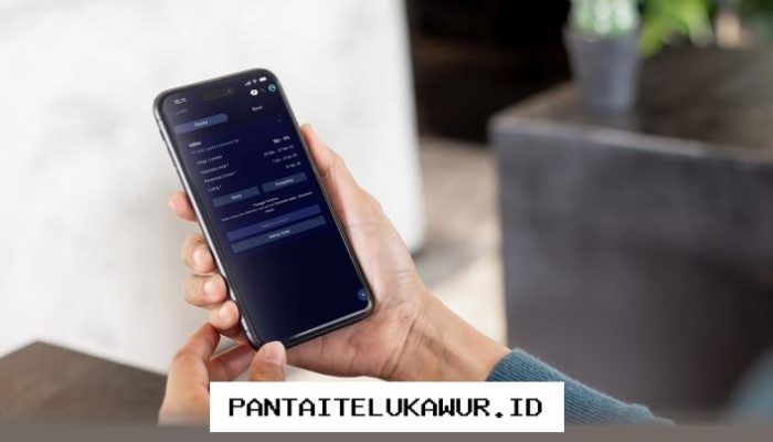 Aplikasi Digital Permudah Akses Investor Ritel terhadap Penawaran Saham Perdana
