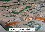 Bulog Terapkan Langkah Antisipasi Menghadapi Musim Kemarau Akibat Fenomena El Nino yang Berkepanjangan