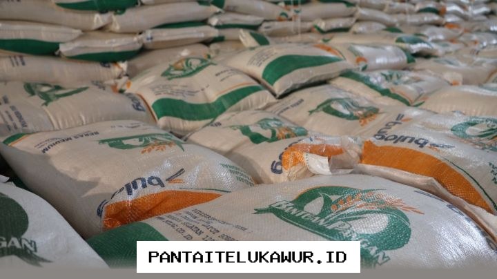 Bulog Terapkan Langkah Antisipasi Menghadapi Musim Kemarau Akibat Fenomena El Nino yang Berkepanjangan