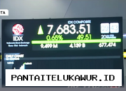 Indeks Harga Saham Gabungan Menguat ke Level 7.683 pada Pembukaan Perdagangan Hari Ini