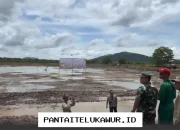 Kementan Serentak Gelar Gerakan Tanam di 17 Provinsi untuk Antisipasi Dampak El Nino