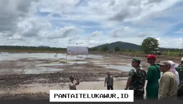 Kementan Serentak Gelar Gerakan Tanam di 17 Provinsi untuk Antisipasi Dampak El Nino