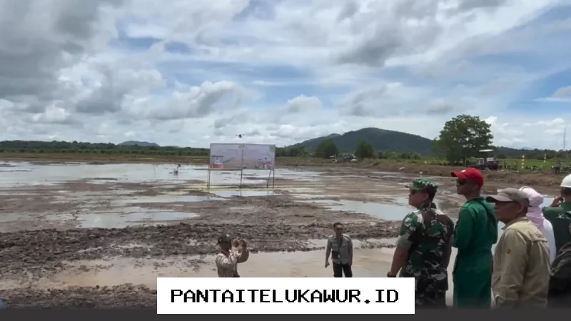 Kementan Serentak Gelar Gerakan Tanam di 17 Provinsi untuk Antisipasi Dampak El Nino