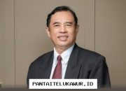 Pemulihan Kualitas Kredit Perbankan Belum Berdampak Signifikan pada Asuransi Kredit Menurut Pengamat Keuangan