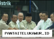 Presiden Prabowo Apresiasi Langkah VKTR dalam Memajukan Industri Kendaraan Listrik Nasional