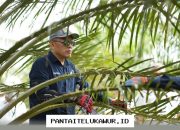 PTPN IV PalmCo Tingkatkan Sistem Deteksi Awal Karhutla dan Terapkan Strategi Agronomi untuk Antisipasi Musim Kemarau Berkepanjangan