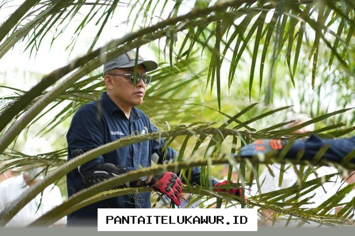 PTPN IV PalmCo Tingkatkan Sistem Deteksi Awal Karhutla dan Terapkan Strategi Agronomi untuk Antisipasi Musim Kemarau Berkepanjangan
