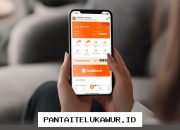 SeaBank Raih Kenaikan Laba Bersih Sebesar 79 Persen Pada Tahun 2025
