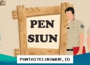 Berapa Batas Usia Pensiun PNS? Simak Penjelasannya