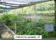 Digitalisasi Biomassa Tingkatkan Efisiensi Cofiring dan Pertumbuhan Ekonomi Desa