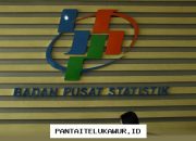 Jadwal Resmi Sensus Ekonomi 2026 Telah Diumumkan Pemerintah