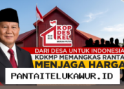 KDKMP Terus Dorong Penghematan Rantai Pasok demi Stabilitas Harga di Indonesia
