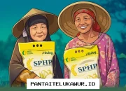 Kebijakan Bansos Pangan BPNT Era Pemerintah 2026, Bantuan Beras Rapel 2 Bulan untuk 33 Juta KPM, Simak Lengkapnya