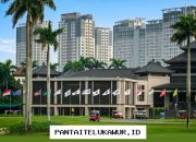 Kecerdasan Buatan Jadi Motor Penggerak Transformasi Digital di Dunia Olahraga