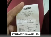 KPM Diminta Waspada terhadap Informasi Palsu, BRI dan Mandiri Pastikan Data KKS Tetap Akurat melalui Verifikasi Rutin