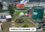 Limbah Sawit Kini Berpotensi Menjadi Alternatif Energi Ramah Lingkungan Seperti Gas Alam