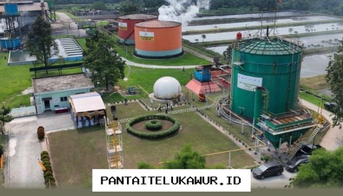 Limbah Sawit Kini Berpotensi Menjadi Alternatif Energi Ramah Lingkungan Seperti Gas Alam