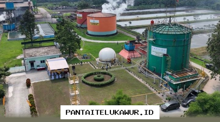 Limbah Sawit Kini Berpotensi Menjadi Alternatif Energi Ramah Lingkungan Seperti Gas Alam