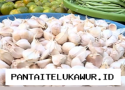 Menko Pangan dan Mendag Periksa Stabilitas Harga Sembako di Pasar Tradisional Jakarta