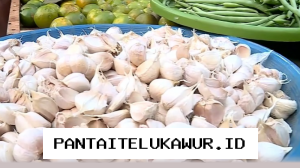 Menko Pangan dan Mendag Periksa Stabilitas Harga Sembako di Pasar Tradisional Jakarta