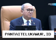 Pemerintah Dirikan Badan Baru untuk Kelola dan Pantau Ekspor Sumber Daya Strategis Nasional
